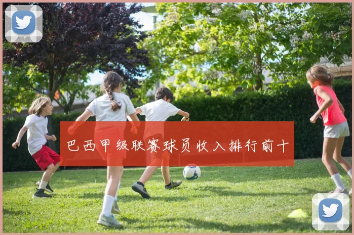 巴西甲级联赛球员收入排行前十