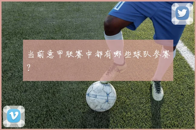 当前意甲联赛中都有哪些球队参赛?