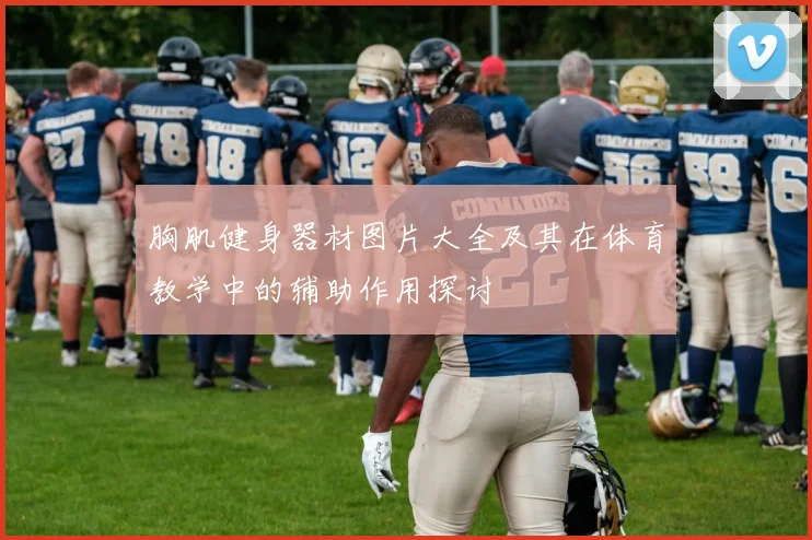 胸肌健身器材图片大全及其在体育教学中的辅助作用探讨