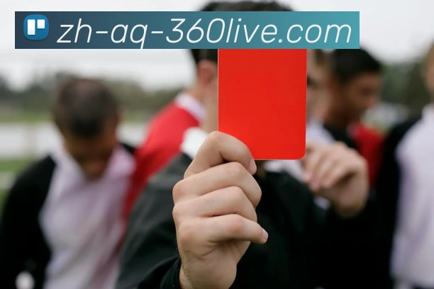 360直播全站App 360直播全站App