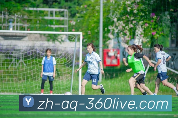 辅助工具 辅助工具